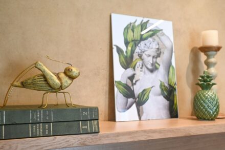 E2 - Elvira's Apartments Kalymnos